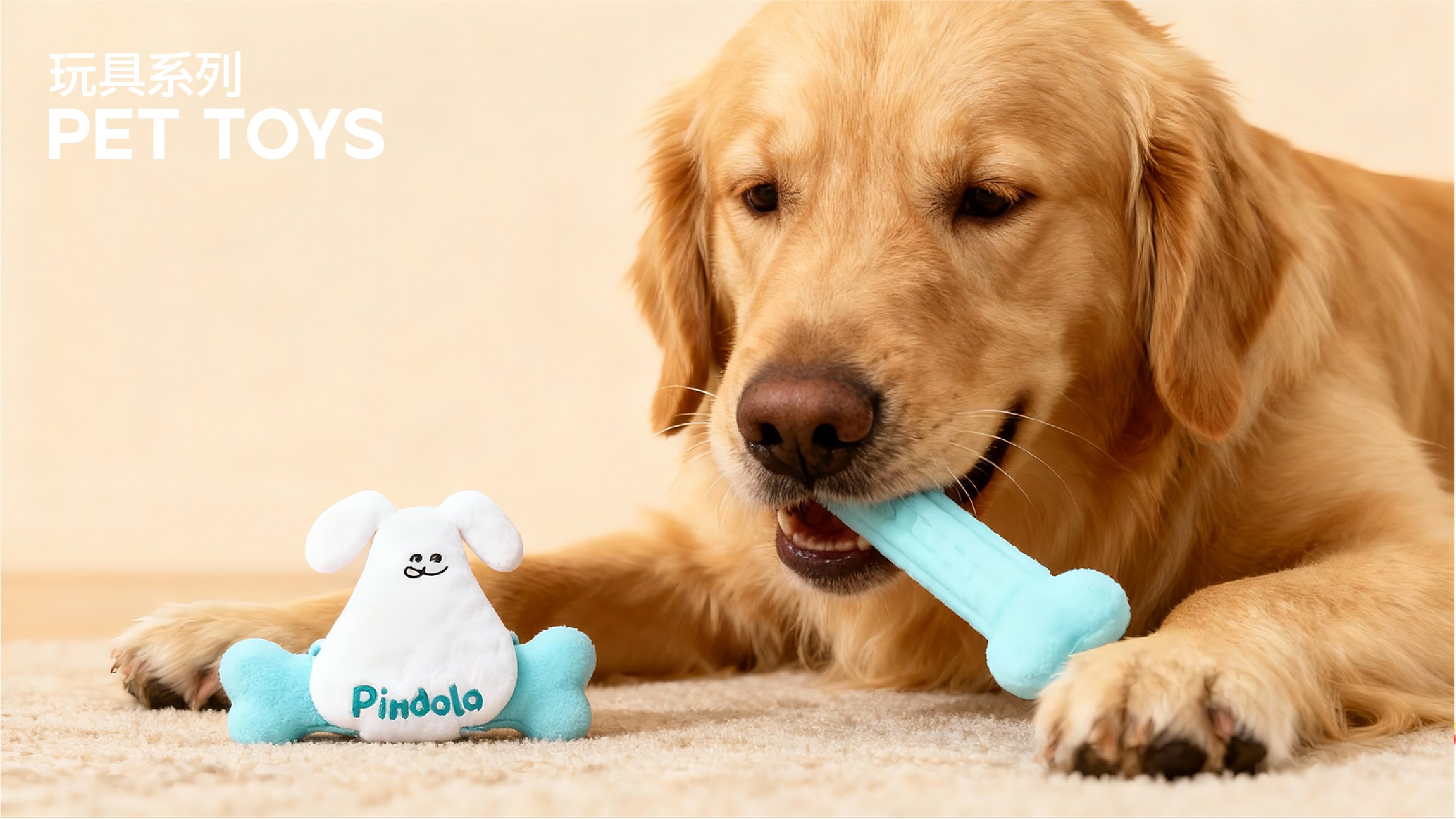 PINDALA  宠物品牌设计_31.jpg