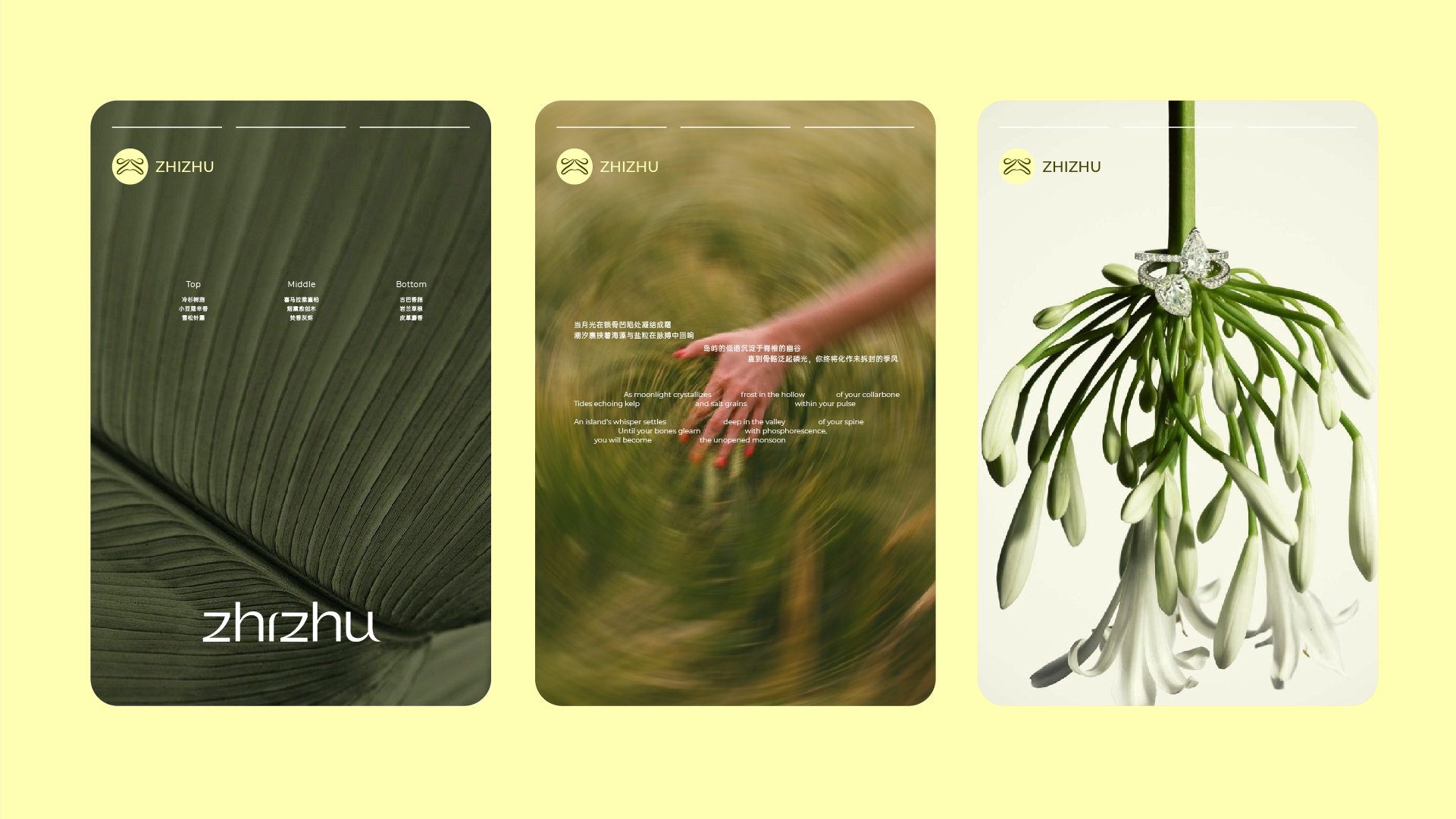 个护品牌设计｜从天然植物中萃取设计灵感_8.jpg
