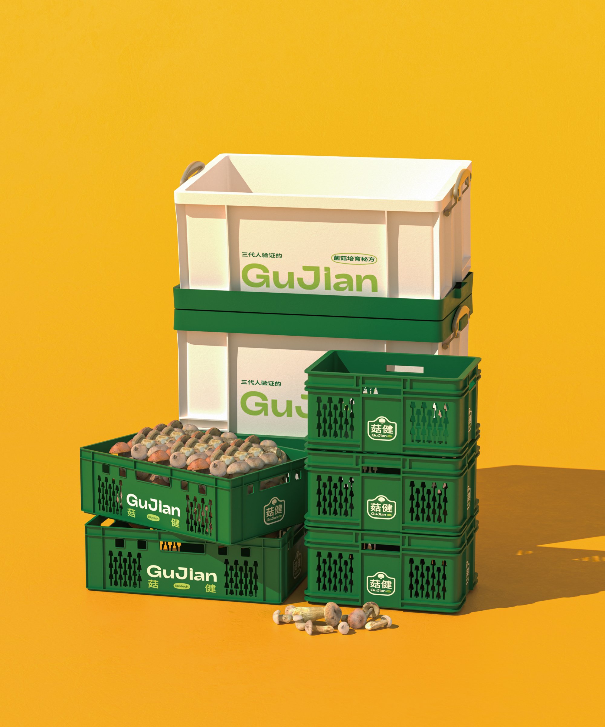 菇健生物｜蘑菇品牌视觉焕新_27.jpg