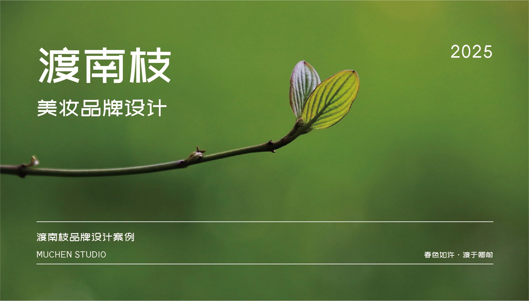 渡南枝｜LOGO｜VI 设计.jpg