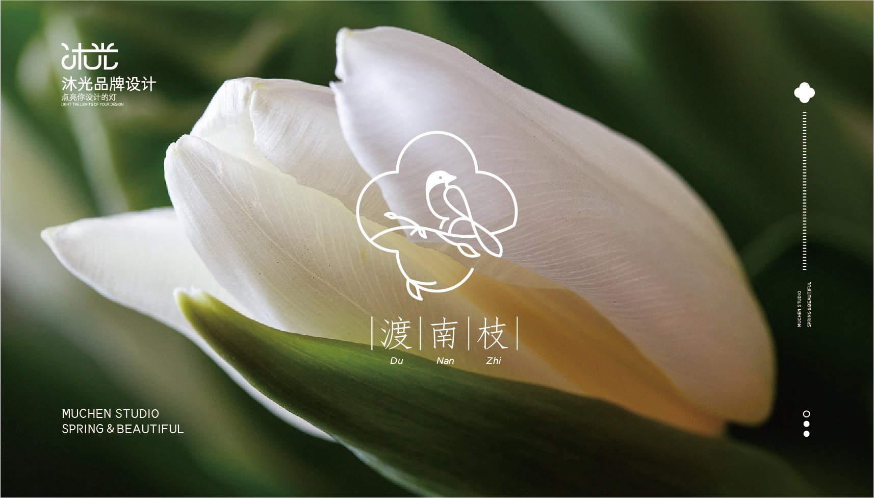 渡南枝｜LOGO｜VI 设计_2.jpg