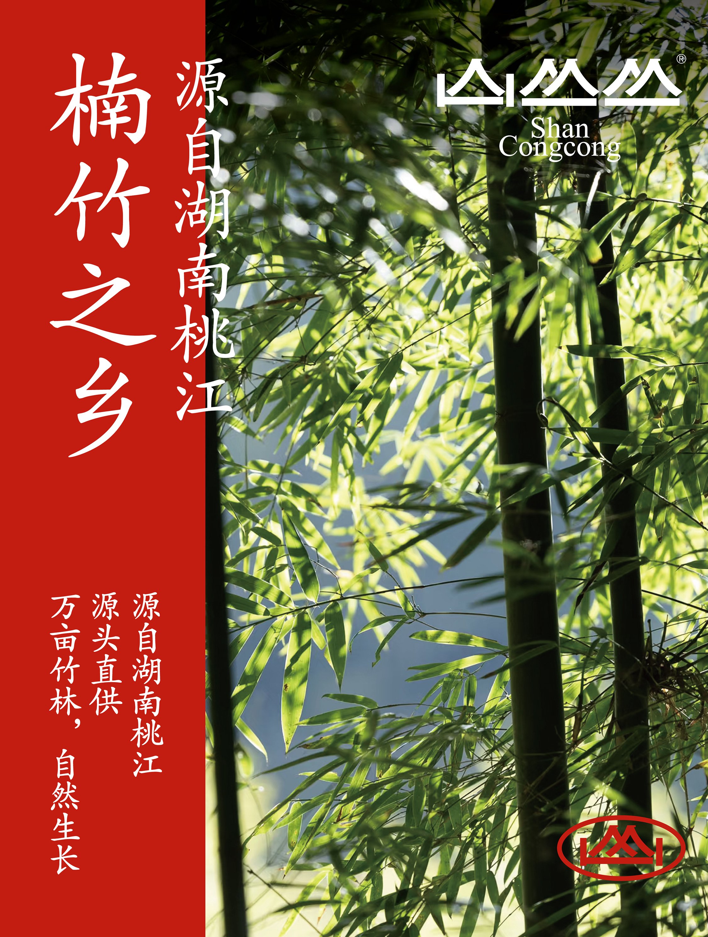 山丛丛品牌笋尖尖食品农产品食材包装VI设计展会视觉_8.jpg