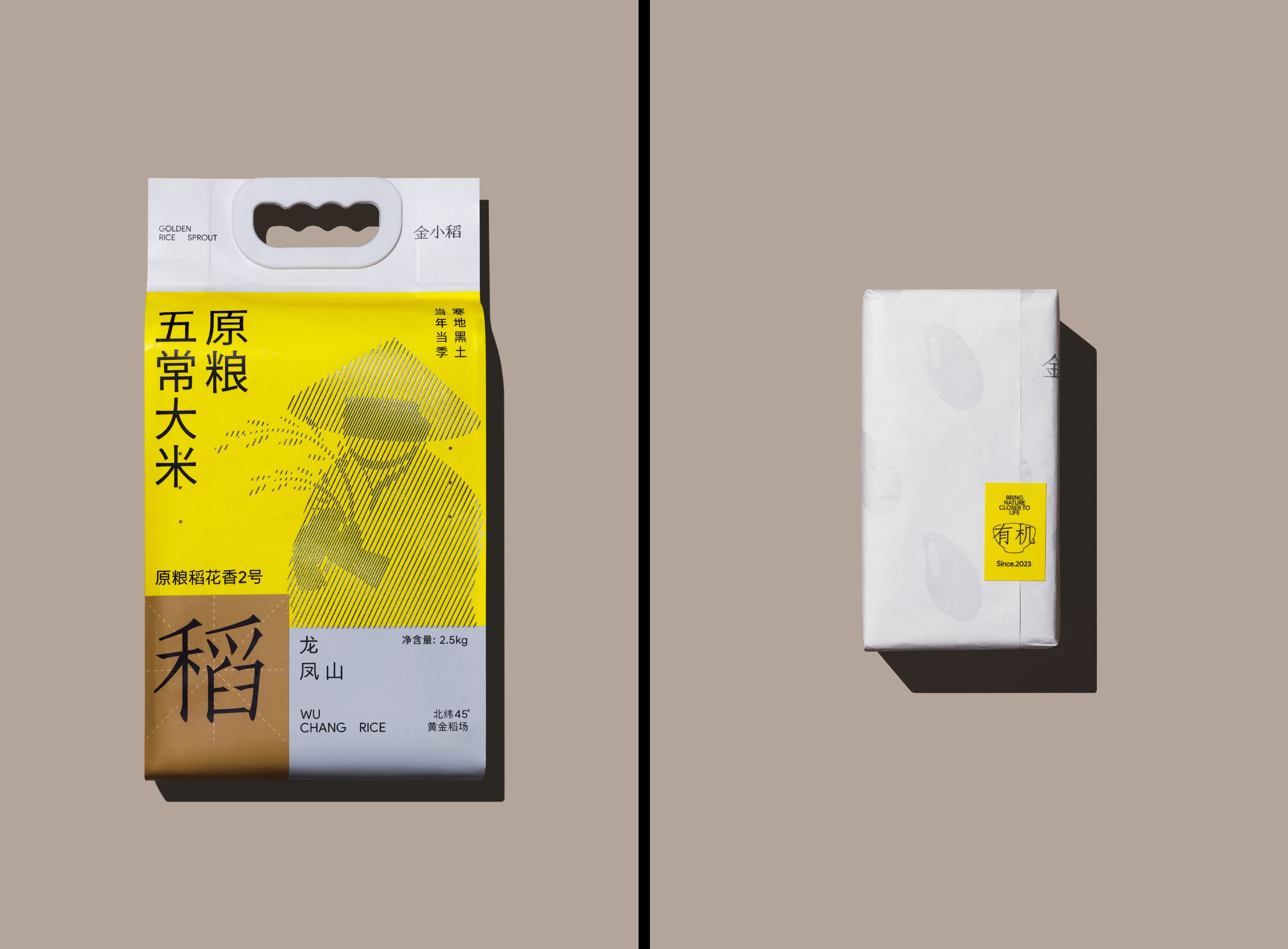 「金小稻」五常大米品牌形象VI设计_22.jpg