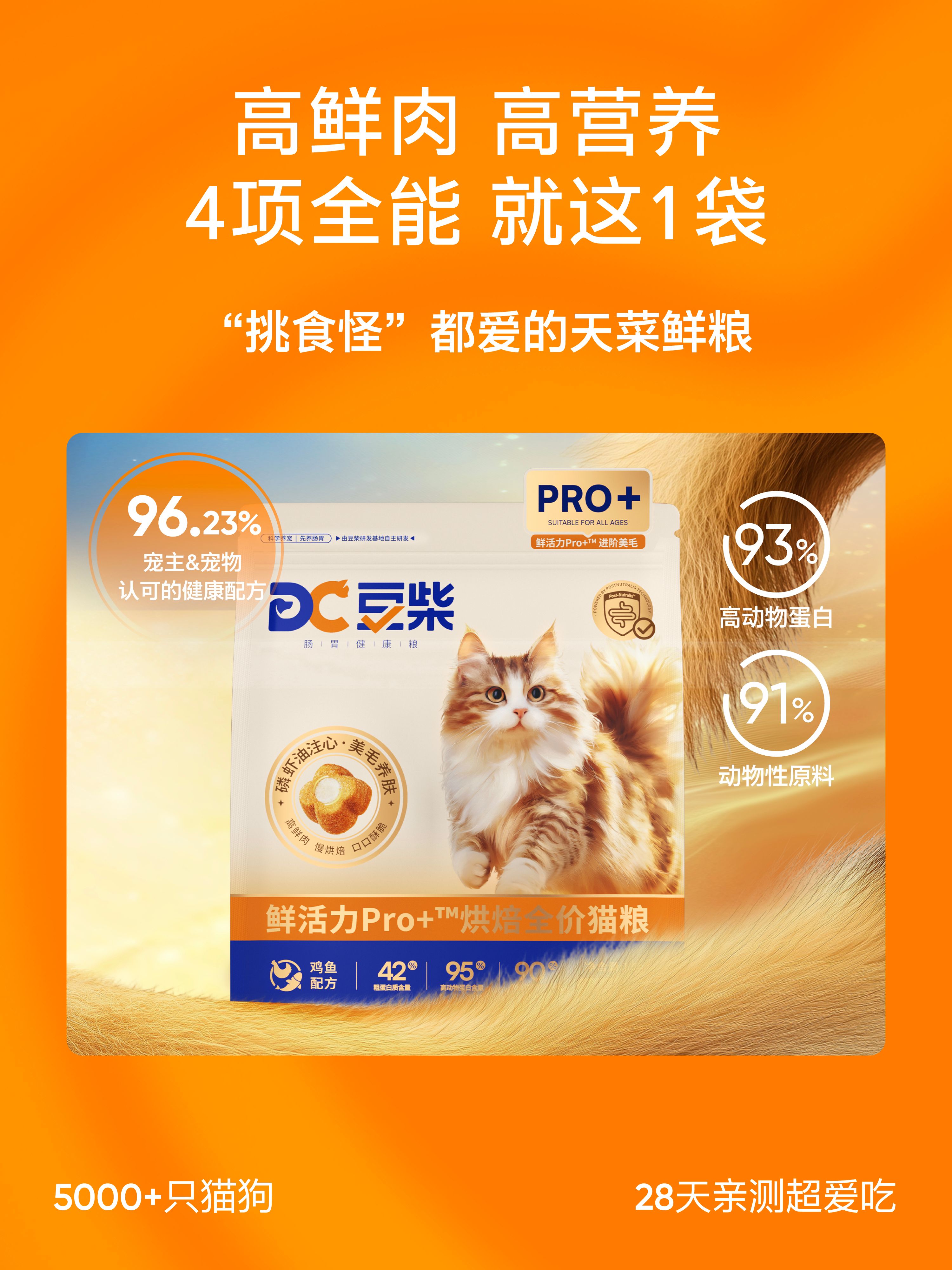 豆柴  宠物品牌升级全案 VI升级 电商设计 视觉规范_4.jpg