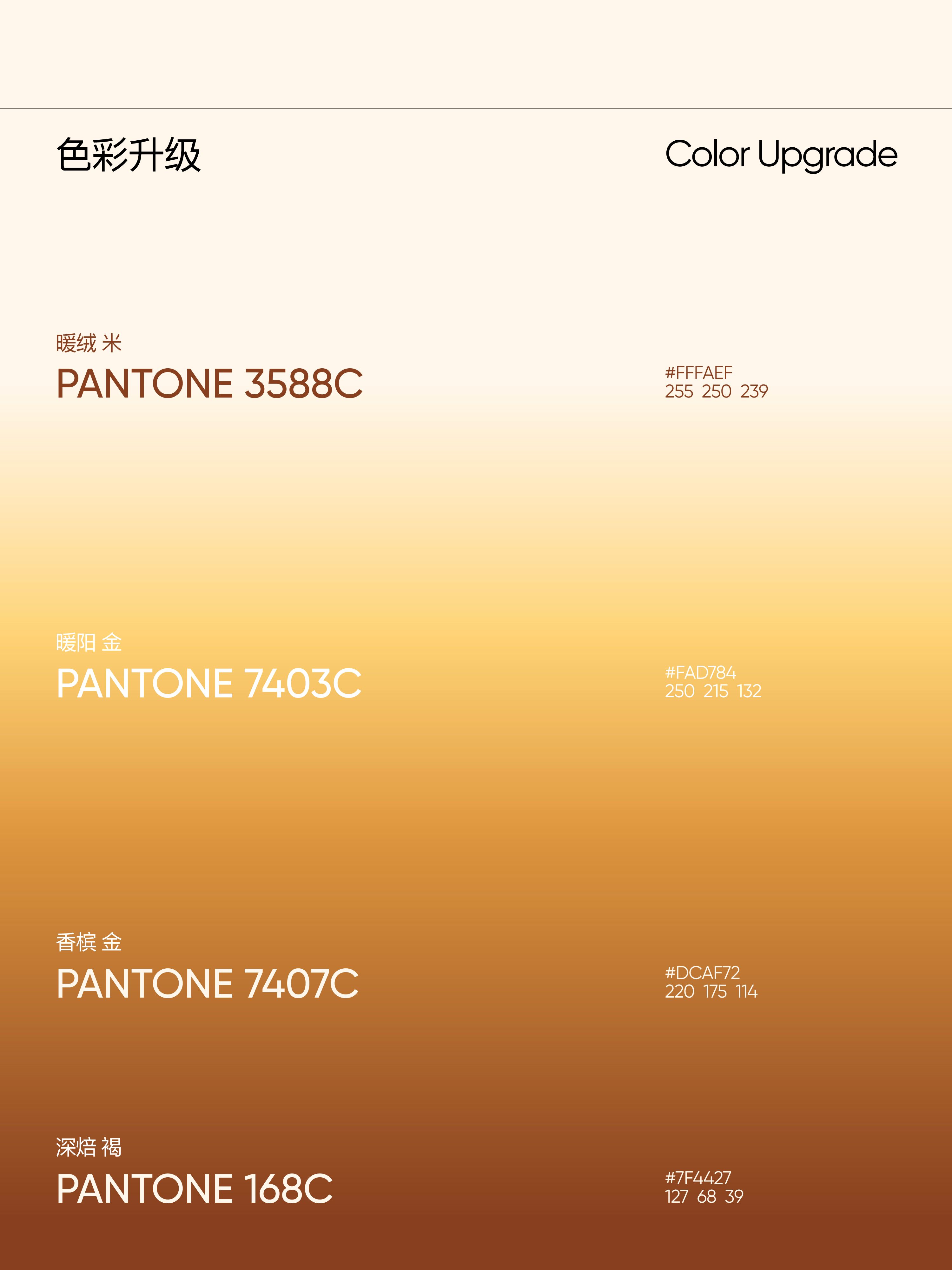 豆柴  宠物品牌升级全案 VI升级 电商设计 视觉规范_10.jpg