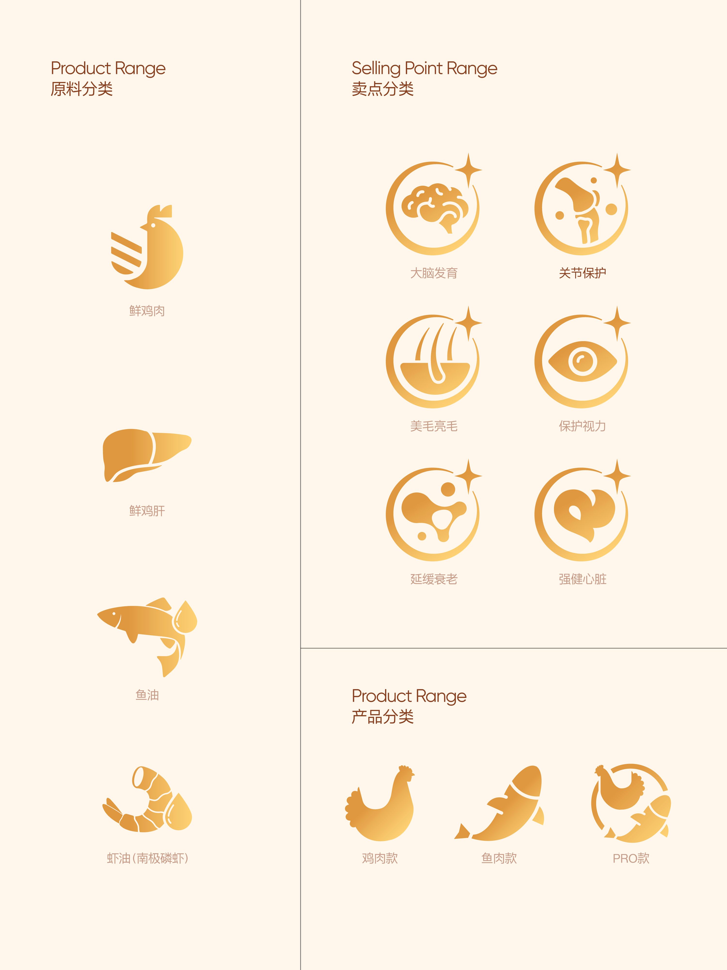 豆柴  宠物品牌升级全案 VI升级 电商设计 视觉规范_11.jpg