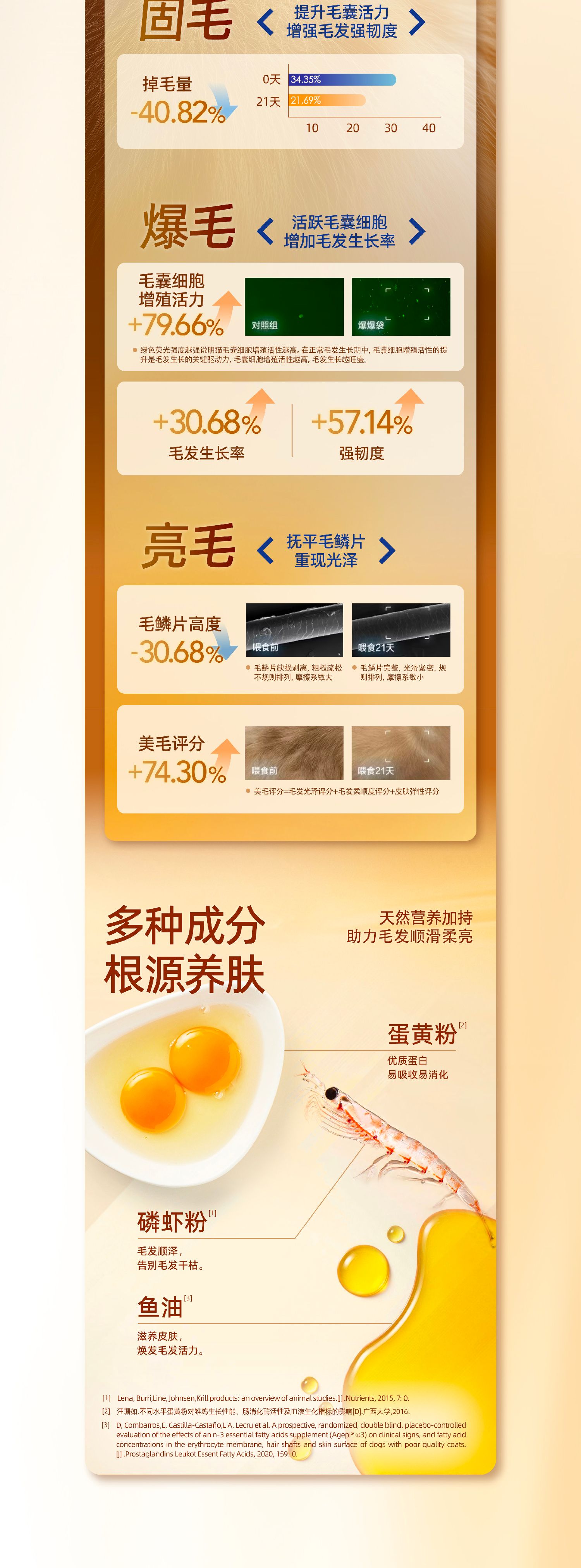 豆柴  宠物品牌升级全案 VI升级 电商设计 视觉规范_15.jpg