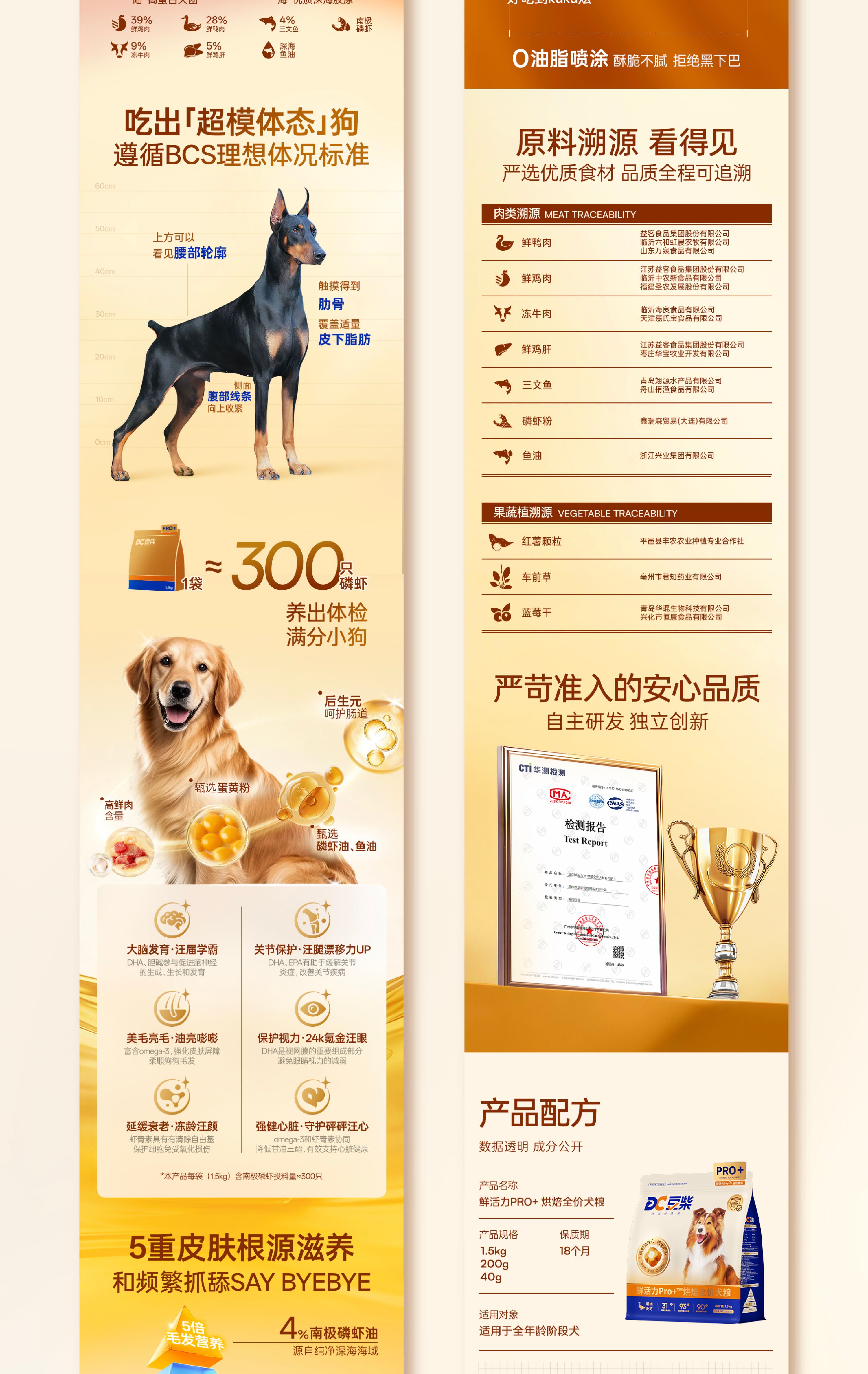 豆柴  宠物品牌升级全案 VI升级 电商设计 视觉规范_26.jpg