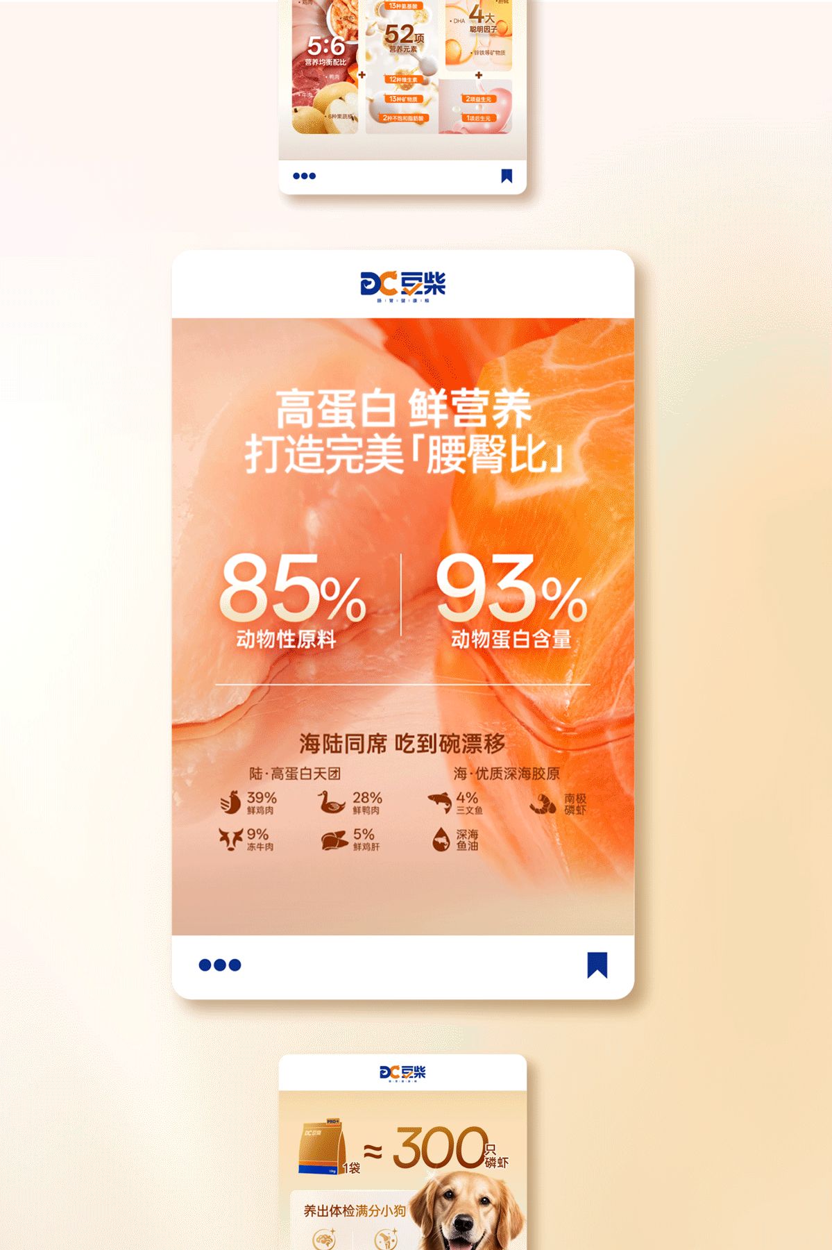 豆柴  宠物品牌升级全案 VI升级 电商设计 视觉规范_29.jpg