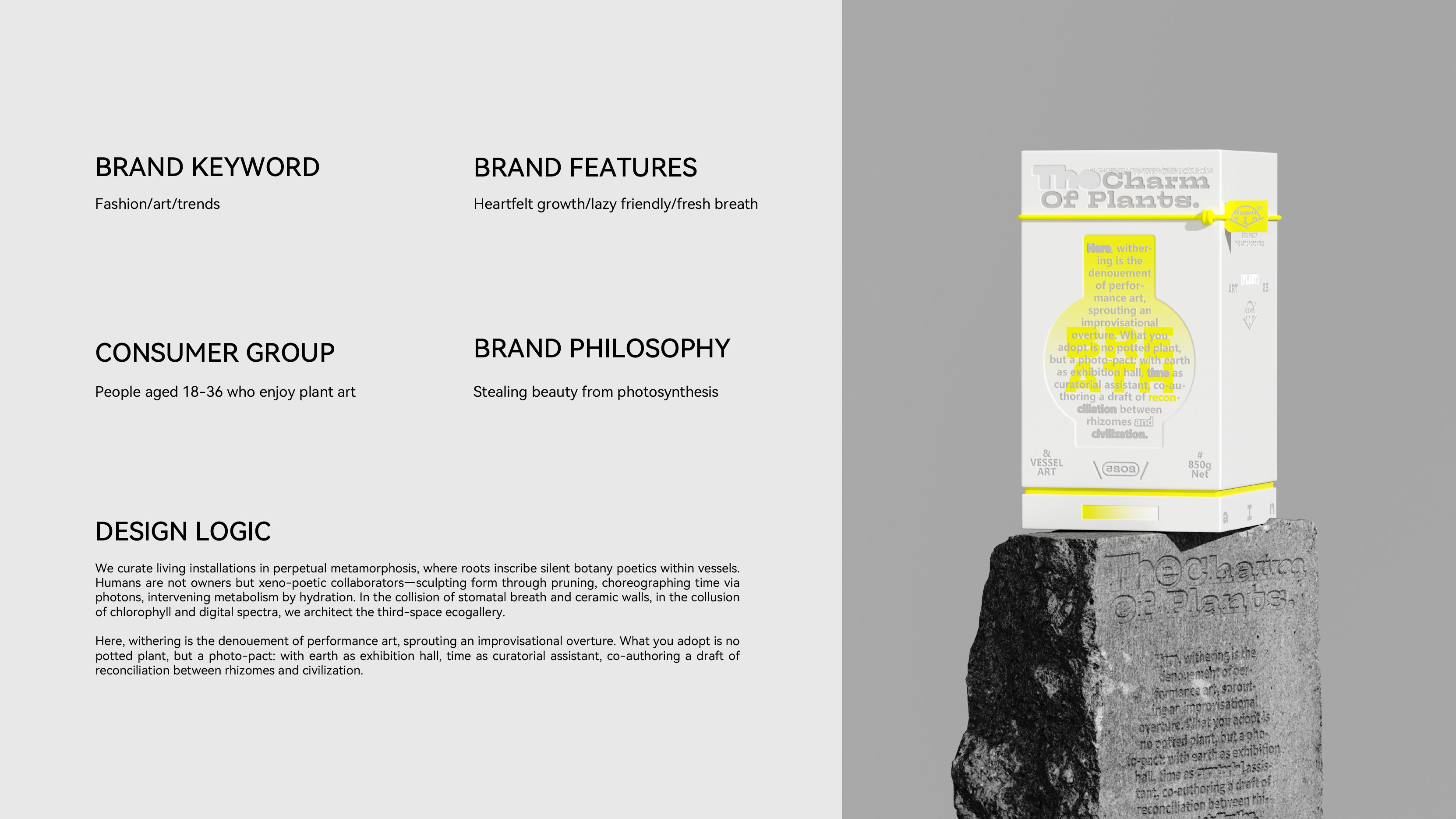 《DAWN AIN》艺术空间-品牌设计_3.jpg