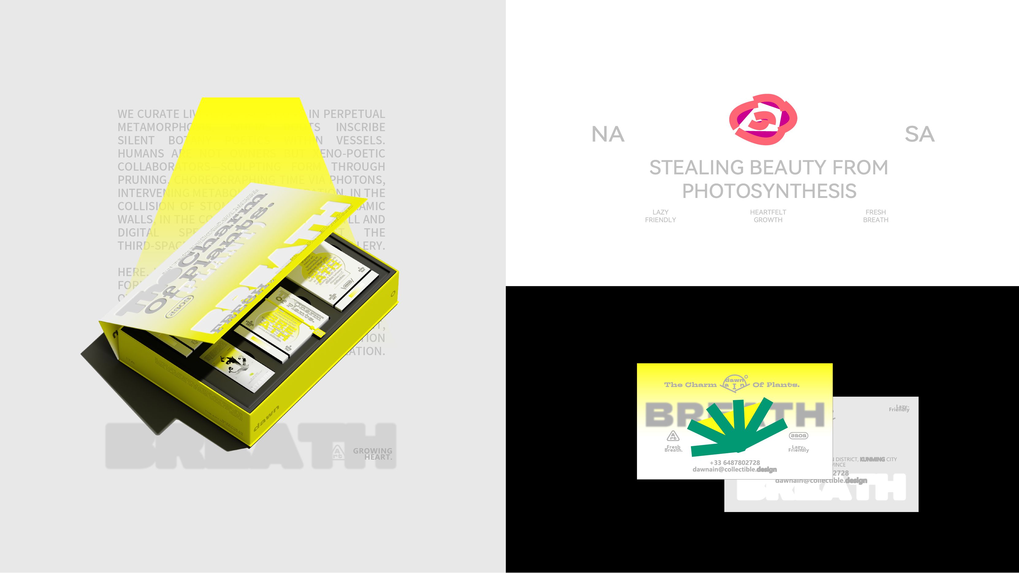 《DAWN AIN》艺术空间-品牌设计_17.jpg