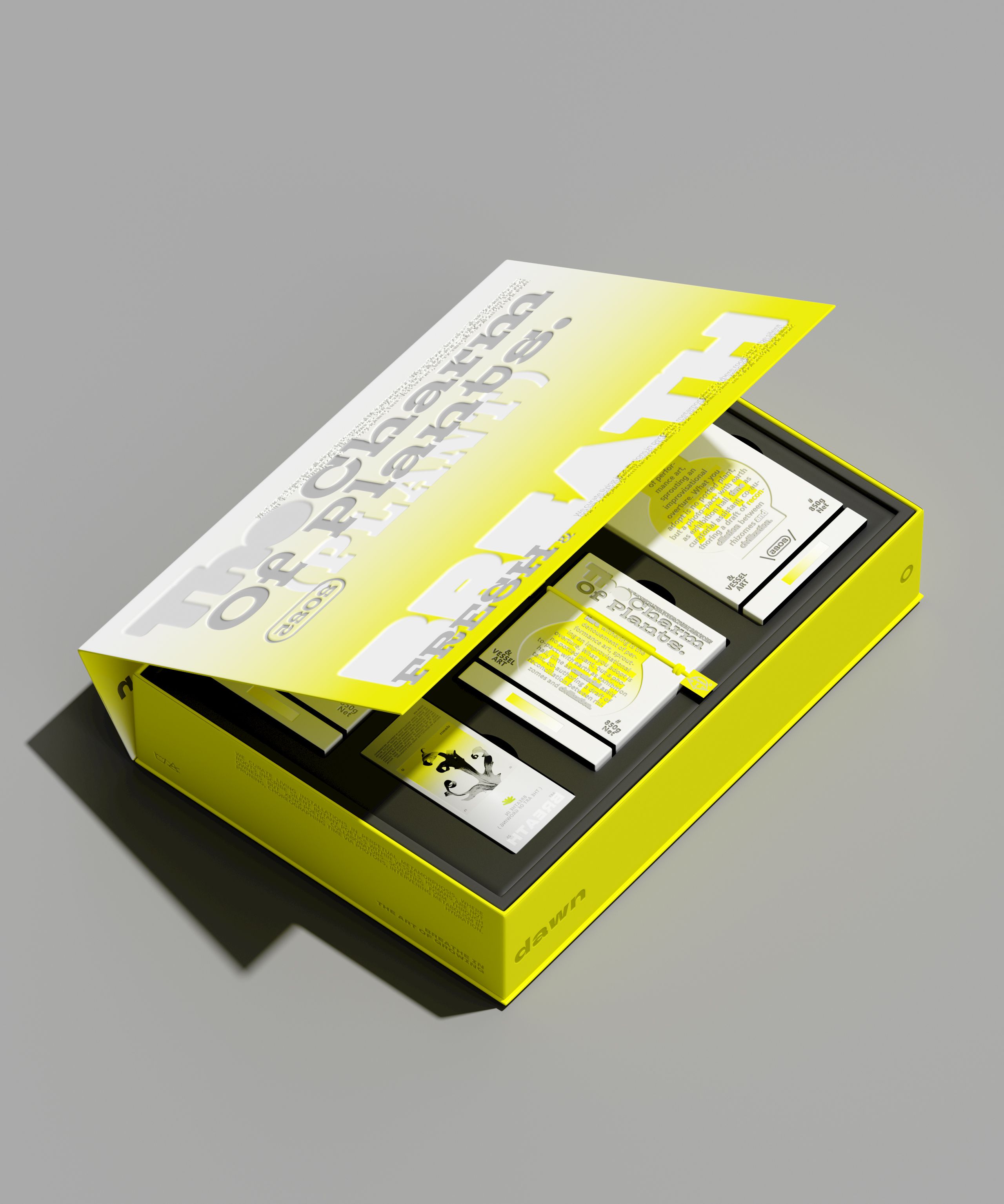 《DAWN AIN》艺术空间-品牌设计_21.jpg