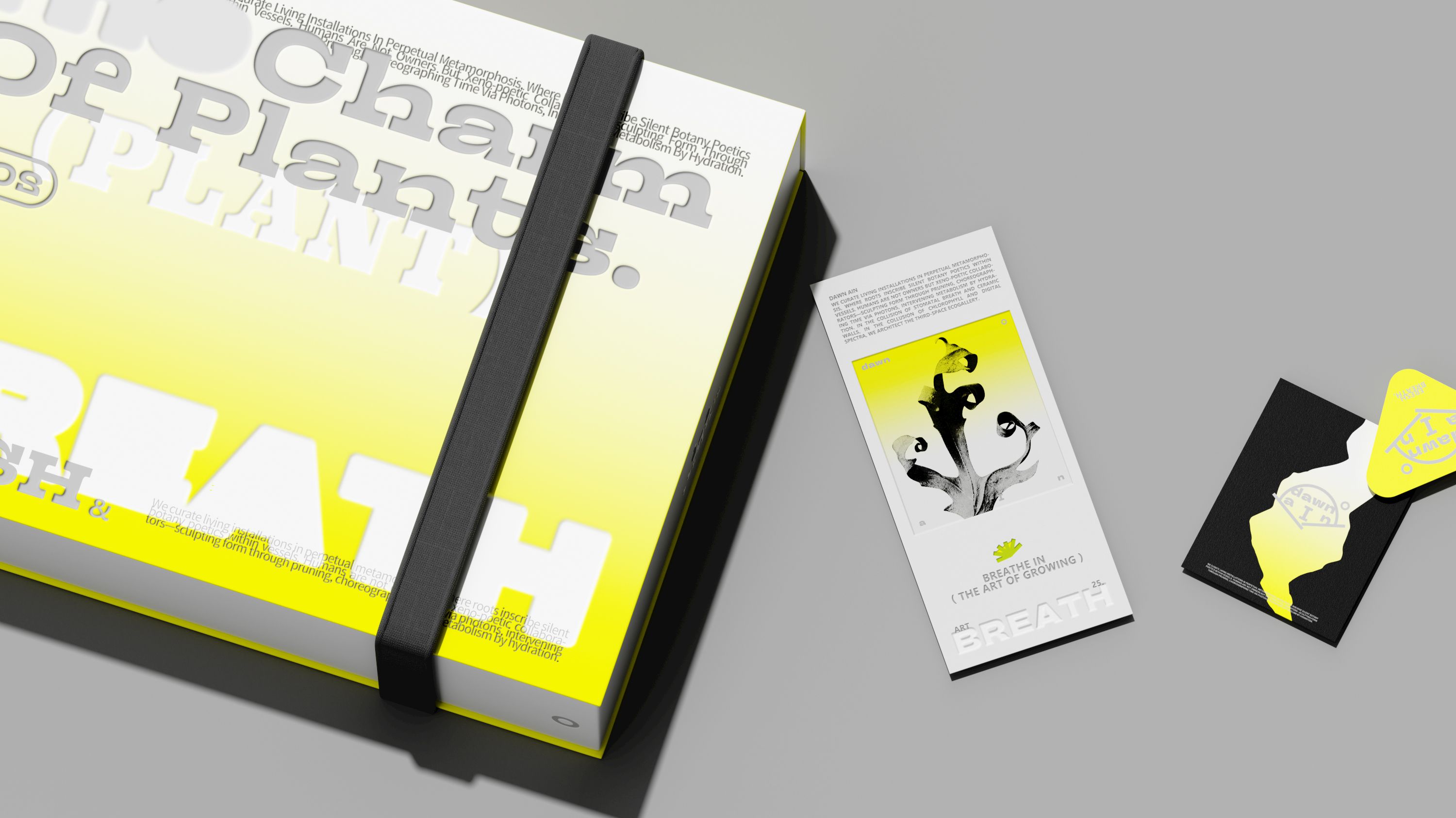 《DAWN AIN》艺术空间-品牌设计_37.jpg