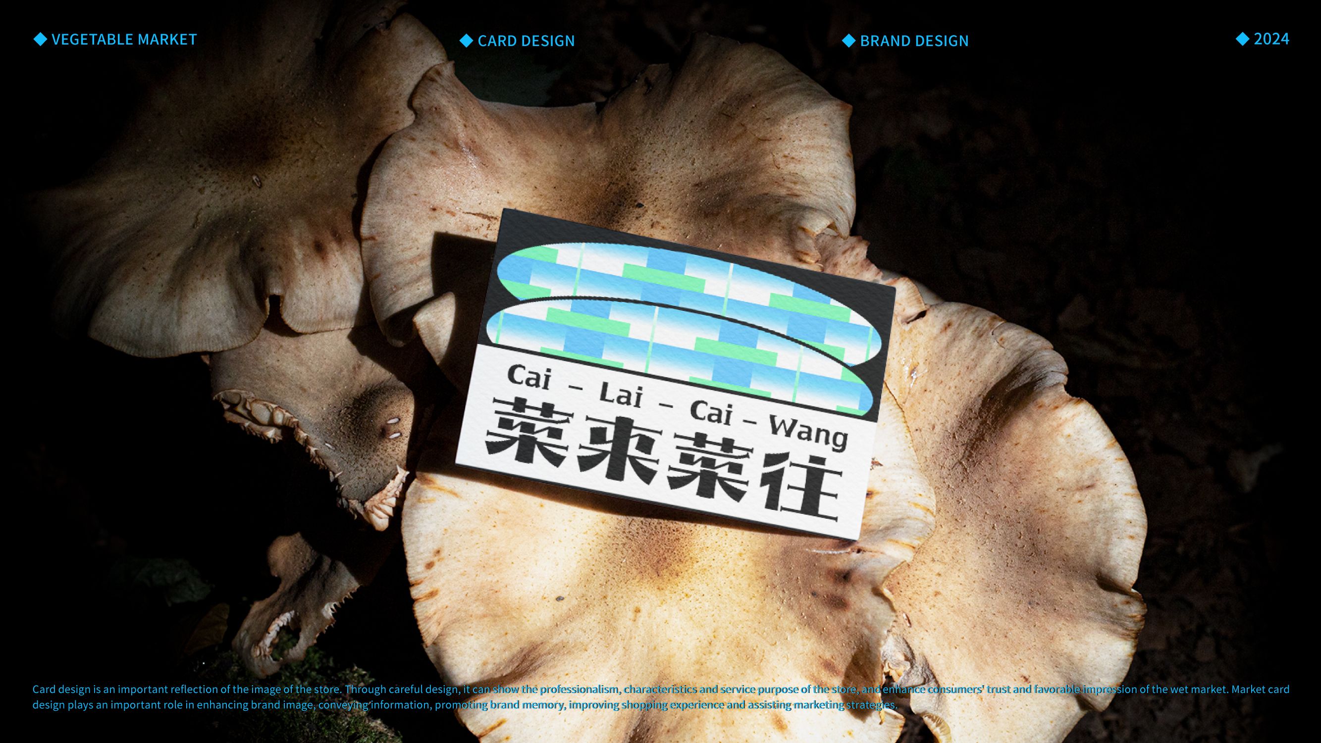 菜来菜往  菜市场品牌设计_23.jpg