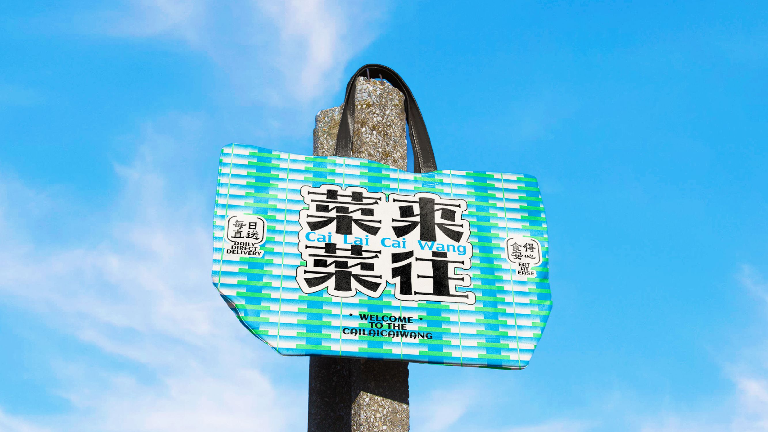 菜来菜往  菜市场品牌设计_27.jpg