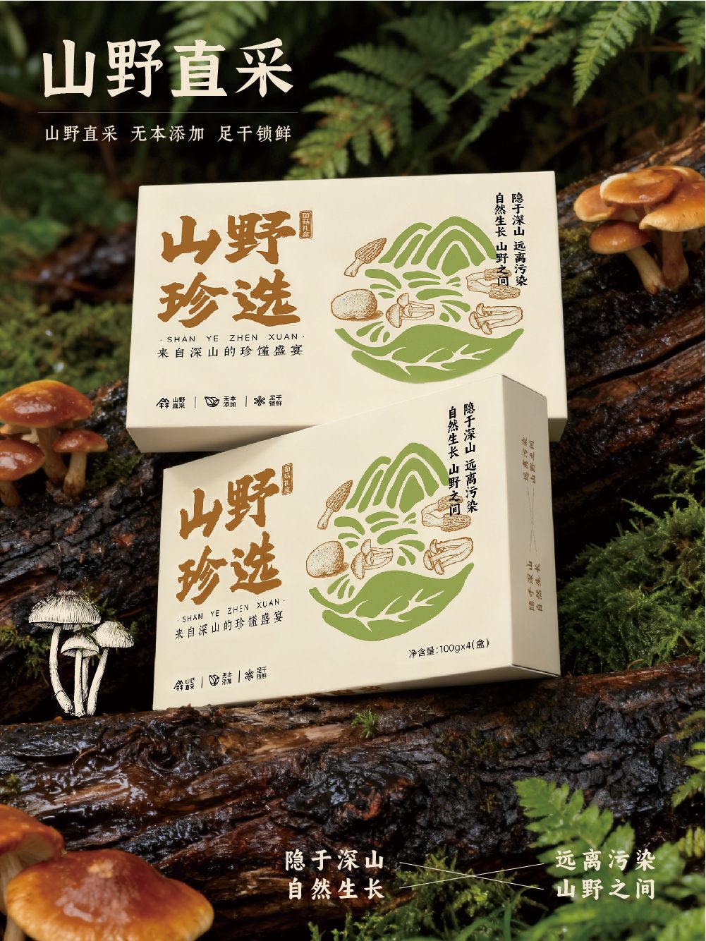 【山野珍选】菌菇礼盒包装设计 特产包装设计_6.jpg