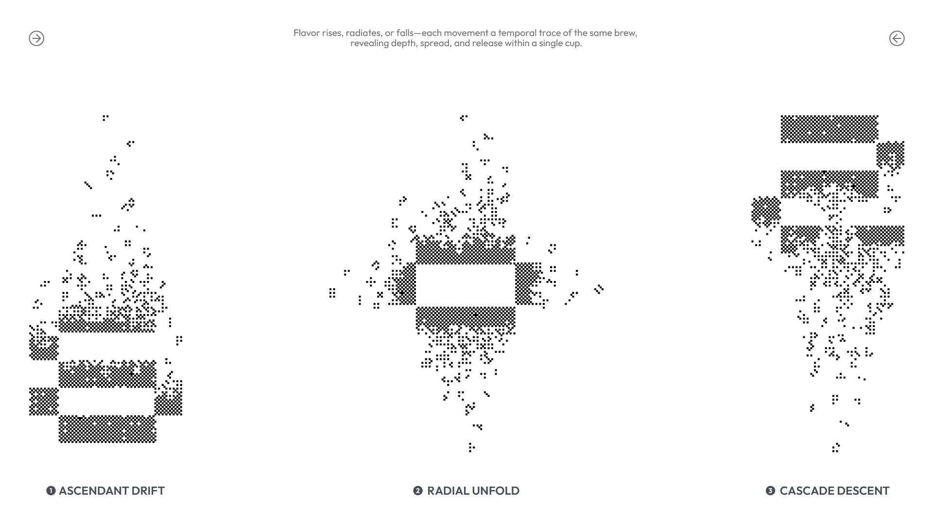 Ten206 Coffee  咖啡品牌提案设计_29.jpg