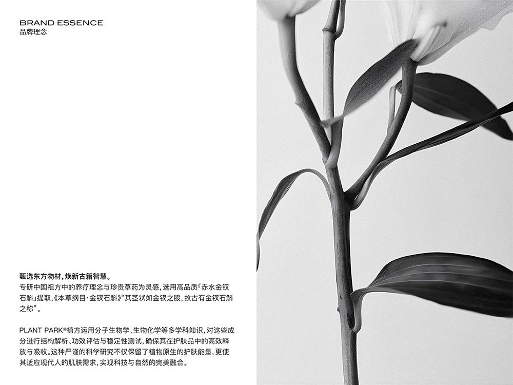 献场设计｜PLANTPARK植方，古籍灵感植萃护肤_17.jpg