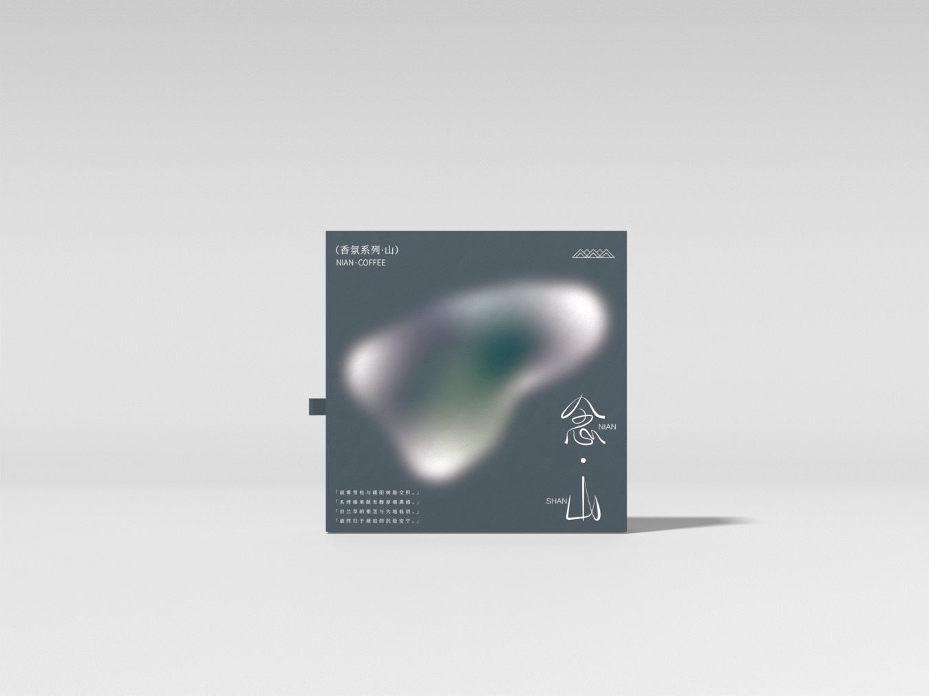 念·品牌延伸  念·香薰包装设计_44.jpg