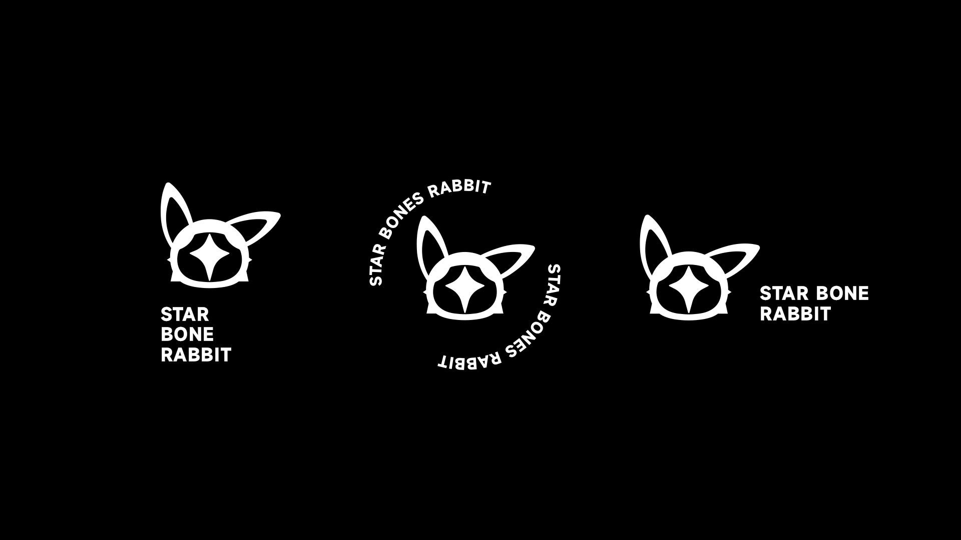 潮流IP-星骸兔STAR BONE RABBIT_5.jpg