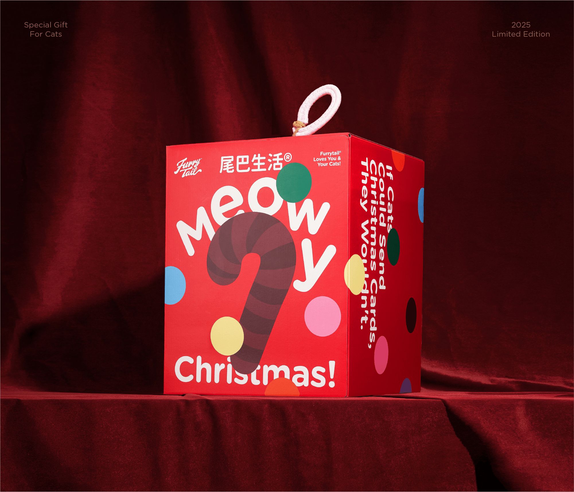 尾巴生活圣诞礼盒｜包装设计 品牌 宠物 猫 主食_13.jpg
