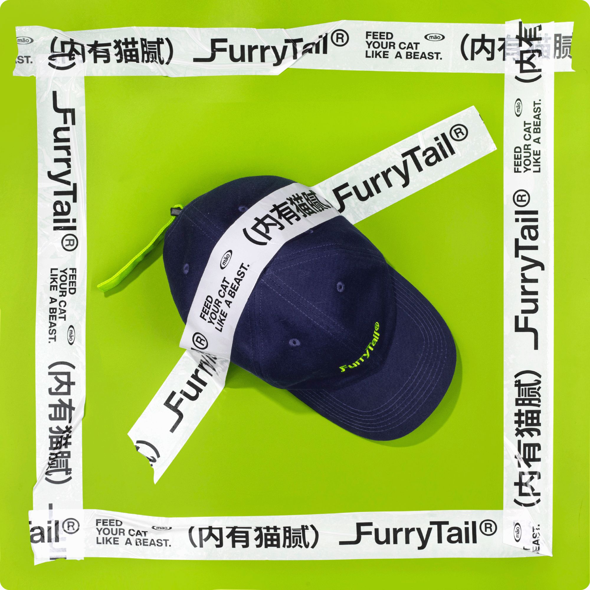 尾巴生活  DXD联名礼盒 -「内有猫腻」_7.jpg