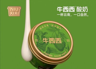 牛西西酸奶品牌包装[37P](一)