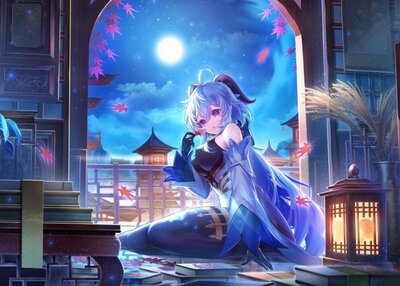 原神动漫女孩动漫树叶赣榆原神夜晚月亮图书