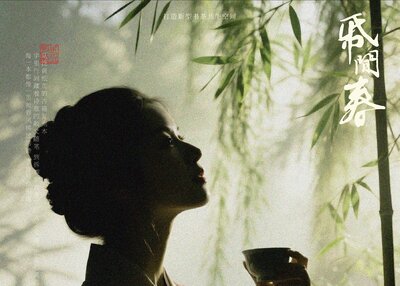 纸间春书茶共生社交品牌包装设计[38P]