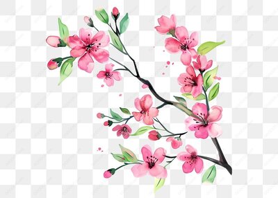 粉色樱花插画图案-1