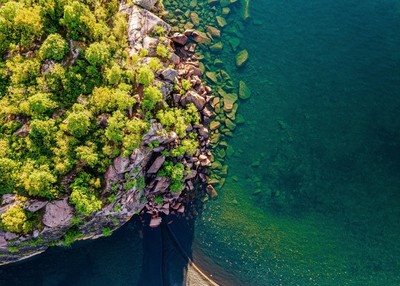 浅绿色的海洋海边便海水清澈见底树木茂盛生机勃勃