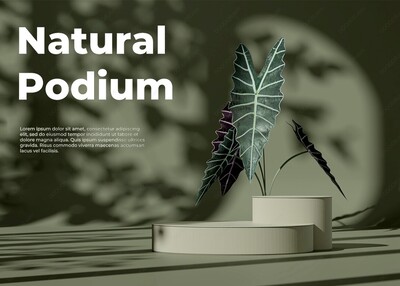自然环境墨绿色叶影斑驳3D产品展示台渲染PSD模型素材-10