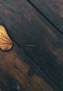 静物拍摄素材木板上满是焦炭的痕迹一片未燃尽的黄叶飘落其上