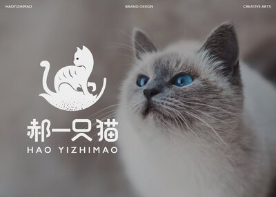 宠物logo，vi设计