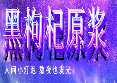 赛博朋克黑枸杞原浆详情页