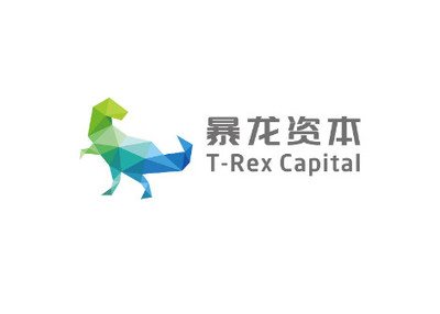 暴龙资本x3721设计｜VC风投公司品牌形象设计