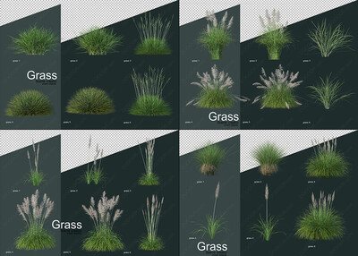 24款单棵草类植物园林景观元素PSD素材