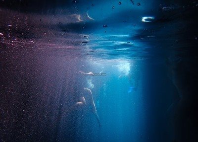 水下世界阳光运动潜泳蓝色海洋