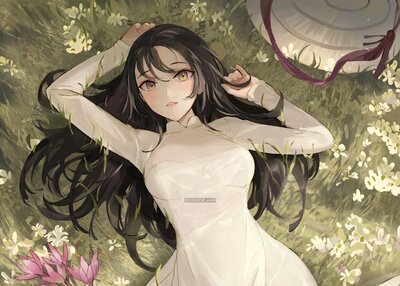 动漫女孩乔比黑发棕色眼睛裙子越南莲花