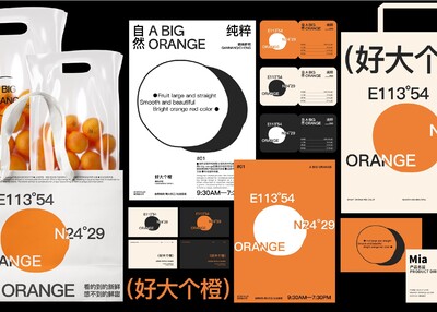 「好大个橙」A BIG ORANGE 果蔬品牌形象VI设计[16P]