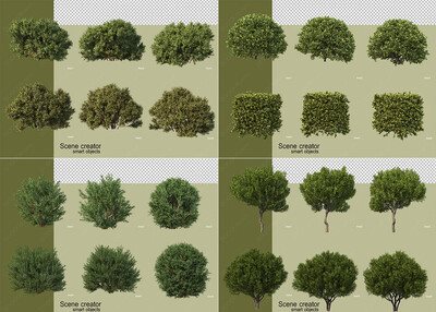 24款景观常用灌木小树PSD素材