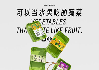 水果吃的蔬菜-蜂韵果蔬品牌设计[29P]