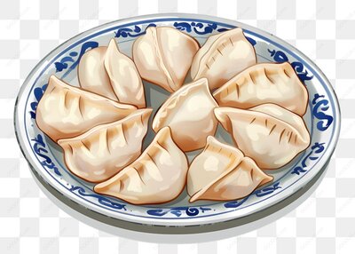 盘子里的饺子插图