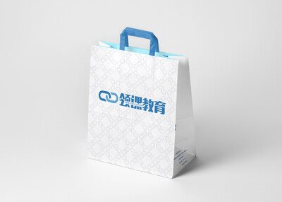 领课教育手拎纸袋设计