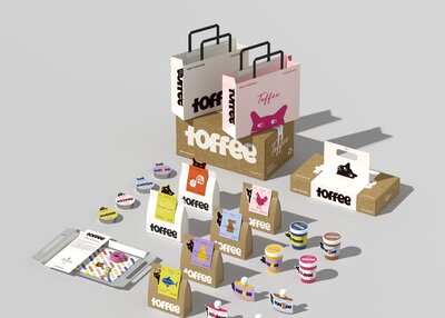 宠物零食包装 包装工艺 盒型设计[15P]