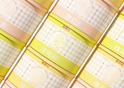 湘源记中式糕点包装设计[34P]