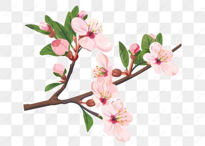 梅花樱花树枝插图_3