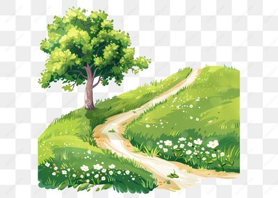 树和小路在草地上