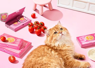 喵铮铮50粒鱼油产品包装设计[27P]