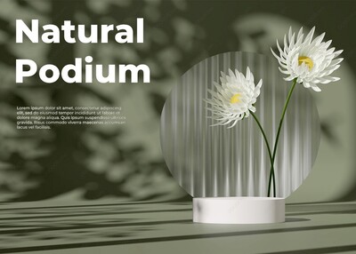 自然环境墨绿色叶影斑驳3D产品展示台渲染PSD模型素材-6